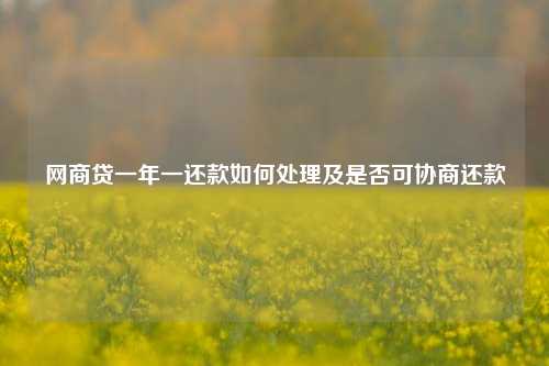 网商贷一年一还款如何处理及是否可协商还款