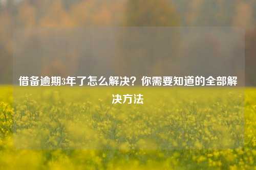 借备逾期3年了怎么解决？你需要知道的全部解决方法