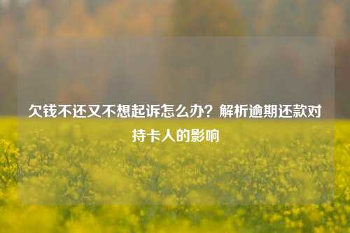 欠钱不还又不想起诉怎么办？解析逾期还款对持卡人的影响