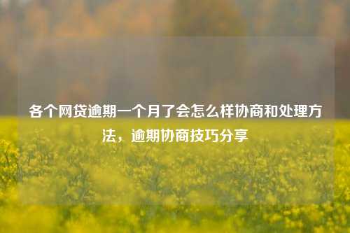 各个网贷逾期一个月了会怎么样协商和处理方法，逾期协商技巧分享