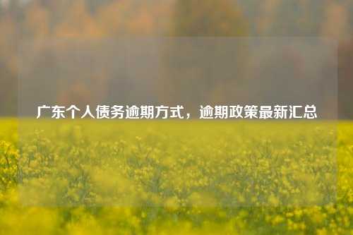 广东个人债务逾期方式，逾期政策最新汇总