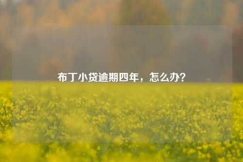 布丁小贷逾期四年，怎么办？