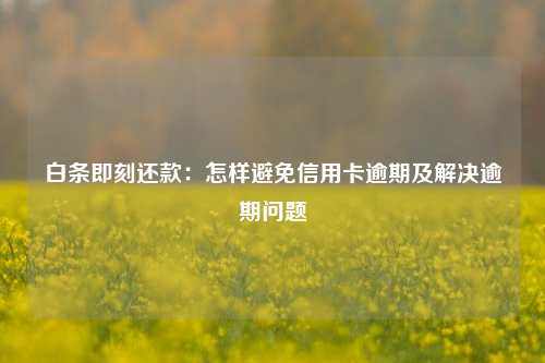 白条即刻还款：怎样避免信用卡逾期及解决逾期问题