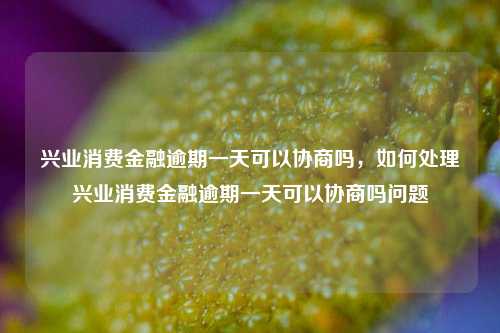 兴业消费金融逾期一天可以协商吗，如何处理兴业消费金融逾期一天可以协商吗问题