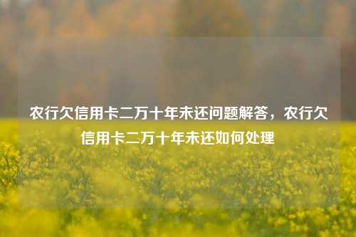 农行欠信用卡二万十年未还问题解答，农行欠信用卡二万十年未还如何处理