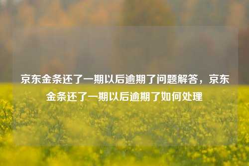 京东金条还了一期以后逾期了问题解答，京东金条还了一期以后逾期了如何处理