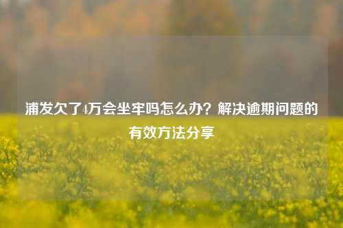 浦发欠了4万会坐牢吗怎么办？解决逾期问题的有效方法分享