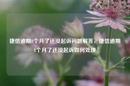 捷信逾期8个月了还没起诉问题解答，捷信逾期8个月了还没起诉如何处理