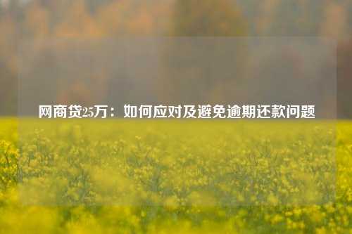 网商贷25万：如何应对及避免逾期还款问题