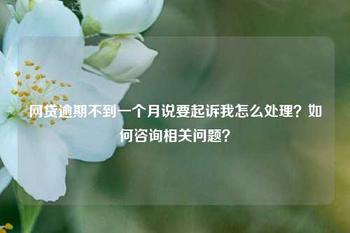 网贷逾期不到一个月说要起诉我怎么处理？如何咨询相关问题？