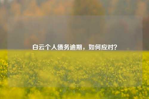 白云个人债务逾期，如何应对？