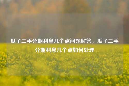 瓜子二手分期利息几个点问题解答，瓜子二手分期利息几个点如何处理