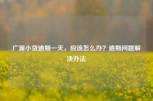 广源小贷逾期一天，应该怎么办？逾期问题解决办法