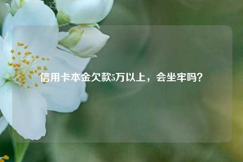 信用卡本金欠款5万以上，会坐牢吗？