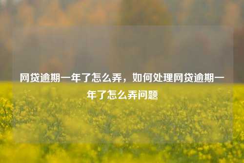 网贷逾期一年了怎么弄，如何处理网贷逾期一年了怎么弄问题