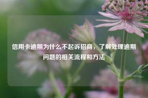 信用卡逾期为什么不起诉招商，了解处理逾期问题的相关流程和方法