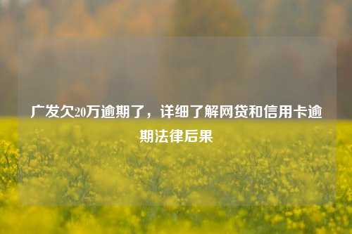 广发欠20万逾期了，详细了解网贷和信用卡逾期法律后果