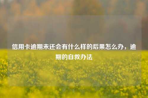 信用卡逾期未还会有什么样的后果怎么办，逾期的自救办法