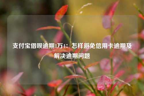 支付宝借呗逾期1万4：怎样避免信用卡逾期及解决逾期问题