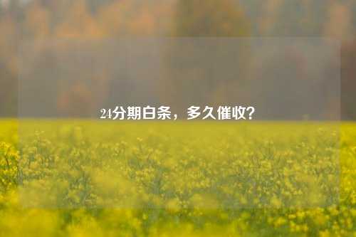 24分期白条，多久催收？