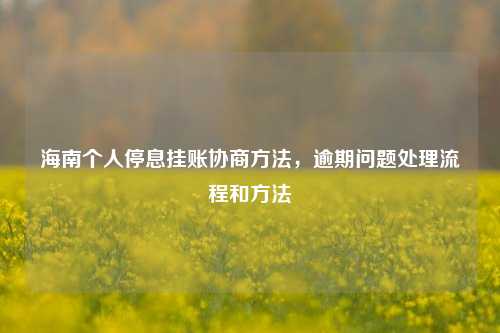 海南个人停息挂账协商方法，逾期问题处理流程和方法