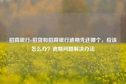 招商银行e招贷和招商银行逾期先还哪个，应该怎么办？逾期问题解决办法