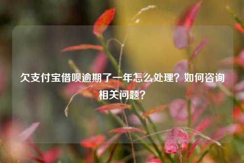 欠支付宝借呗逾期了一年怎么处理？如何咨询相关问题？