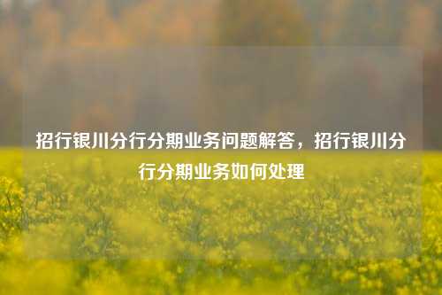 招行银川分行分期业务问题解答，招行银川分行分期业务如何处理