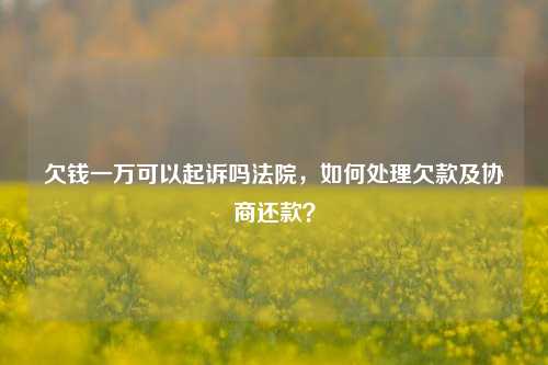 欠钱一万可以起诉吗法院，如何处理欠款及协商还款？