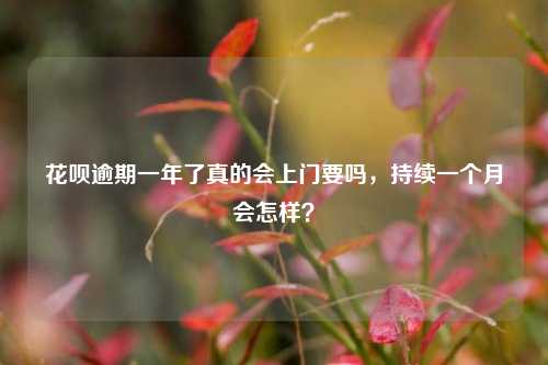 花呗逾期一年了真的会上门要吗，持续一个月会怎样？