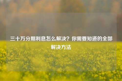 三十万分期利息怎么解决？你需要知道的全部解决方法