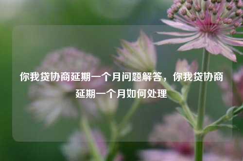 你我贷协商延期一个月问题解答，你我贷协商延期一个月如何处理