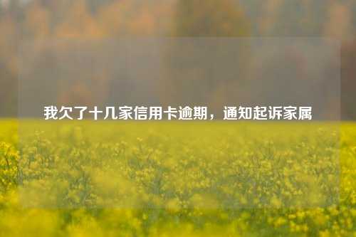 我欠了十几家信用卡逾期，通知起诉家属