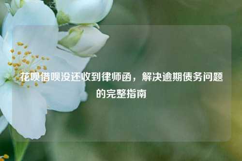 花呗借呗没还收到律师函，解决逾期债务问题的完整指南