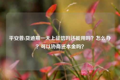 平安普i贷逾期一天上征信吗还能用吗？怎么办？可以协商还本金吗？