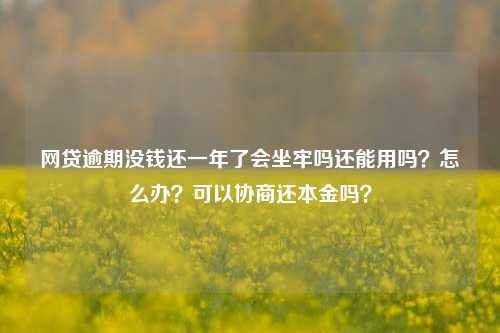 网贷逾期没钱还一年了会坐牢吗还能用吗？怎么办？可以协商还本金吗？