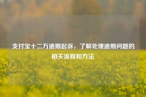 支付宝十二万逾期起诉，了解处理逾期问题的相关流程和方法