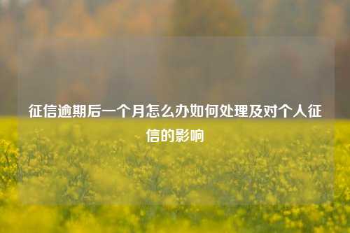 征信逾期后一个月怎么办如何处理及对个人征信的影响