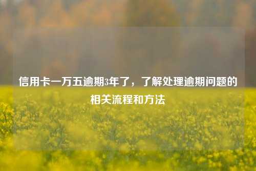 信用卡一万五逾期3年了，了解处理逾期问题的相关流程和方法