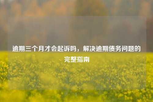 逾期三个月才会起诉吗，解决逾期债务问题的完整指南