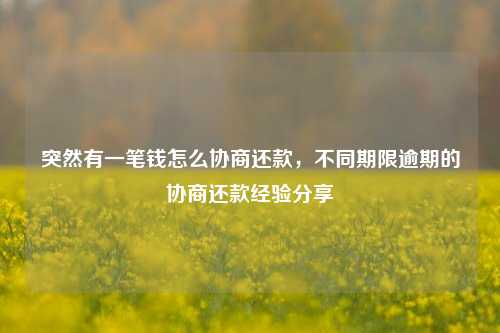 突然有一笔钱怎么协商还款，不同期限逾期的协商还款经验分享