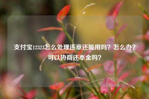 支付宝12323怎么处理违章还能用吗？怎么办？可以协商还本金吗？