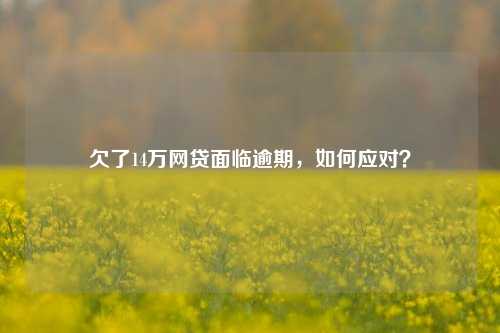 欠了14万网贷面临逾期，如何应对？