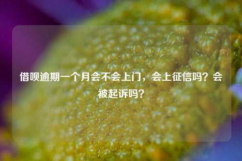 借呗逾期一个月会不会上门，会上征信吗？会被起诉吗？