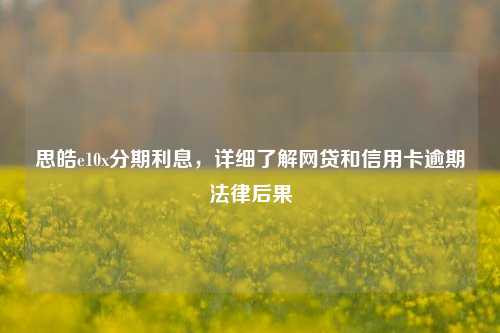 思皓e10x分期利息，详细了解网贷和信用卡逾期法律后果