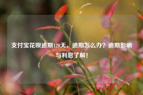 支付宝花呗逾期120天，逾期怎么办？逾期影响与利息了解！