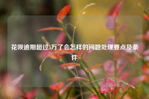 花呗逾期超过5万了会怎样的问题处理要点及条件