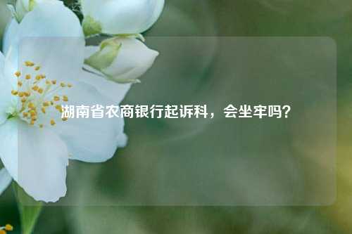 湖南省农商银行起诉科，会坐牢吗？