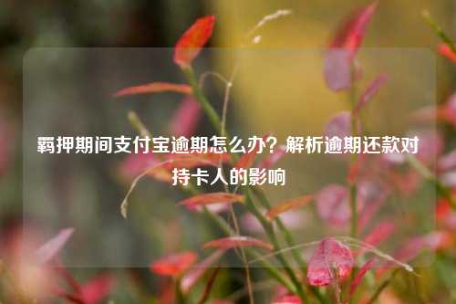 羁押期间支付宝逾期怎么办？解析逾期还款对持卡人的影响