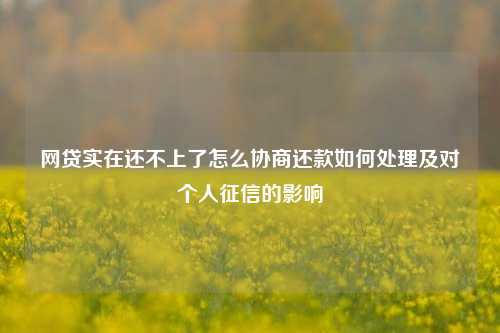 网贷实在还不上了怎么协商还款如何处理及对个人征信的影响